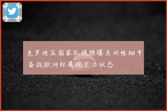 克罗地亚国家队视频曝光训练细节 备战欧洲杯展现主力状态